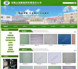 安徽太瑞聚酯網有限責任公司網站建設案例